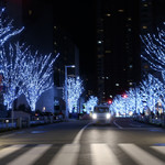 旬采 - けやき坂から東京タワーへ