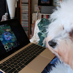 旬采 - アニメを楽しみました！！