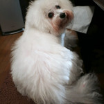 旬采 - ママの隣で〜♬