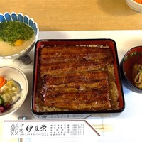 鰻割烹 伊豆栄 本店 - 