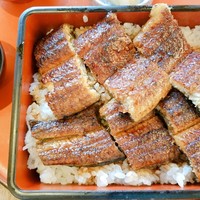 しら河 浄心本店 - 