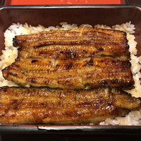 赤坂ふきぬき - 