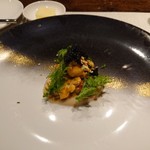 NOUVE - オマールとカリフラワー