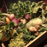 ワインバル 博多うきしま倉庫 - 料理写真:神奈川藤沢市、にこにこ農園直送のオーガニック野菜♪旬のお野菜を色んなお料理でお届け致します♬
