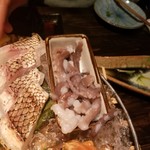 紀の川 - 料理写真:蛸の足が動いてる。。