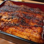 炭焼うなぎ 加茂 - 