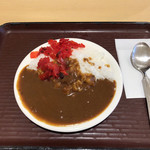 山田サービスエリア(下り線)レストラン　グリーンキッチン - ミニカレー