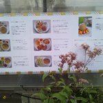 カフェむぎわらい - 