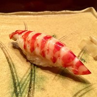 銀座 鮨 かねさか 本店 - 車海老 エビの味がしっかりする