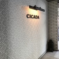 CICADA - 