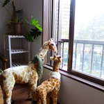 マイノリティーズコーヒー - 