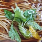 蕎麦料理 すみや - 