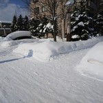 梅光軒 - 札幌市内の雪道