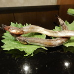 菊水鮓 - いかなご炙り