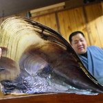 吾妻 - 貝と大将