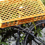 煮干し中華そば 一剣 - 