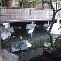 茶寮 一松 - 