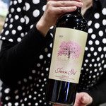 波へい - ファン・ヒル クアトロ・メセス