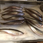 ろっかん - 琵琶湖ホンモロコ