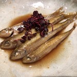 ろっかん - 琵琶湖スゴモロコ