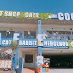 猫喫茶 空陸家 - 外観写真:ネコ、うさぎ、ハリネズミ、ドックカフェ