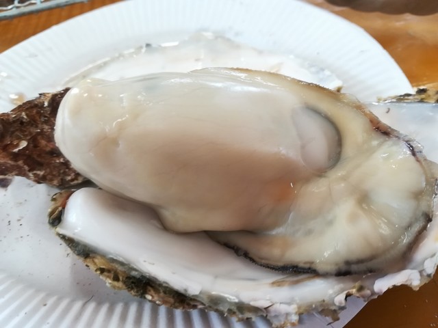 地御前かき小屋 地御前 魚介料理 海鮮料理 食べログ 地御前かき小屋 地御前 魚介料理 海鮮料理 食べログ