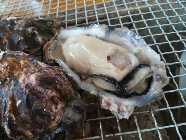 地御前かき小屋 地御前 魚介料理 海鮮料理 食べログ 地御前かき小屋 地御前 魚介料理 海鮮料理 食べログ