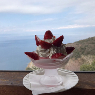 フルーツランド・ギャラリー_1