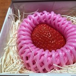 コントワール フー - 