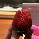 コントワール フー - 