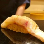 鮨 竜介 - 2019.1.  喉黒