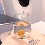 Star Alliance Lounge - 氷入りの方が旅行っぽかったかしら。