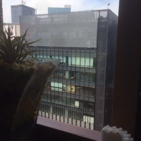 御膳房 銀座店 - 