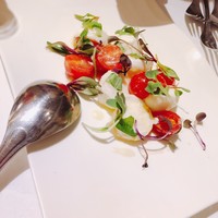 アマルフィイ・モデルナ - 