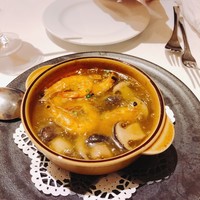 アマルフィイ・モデルナ - 