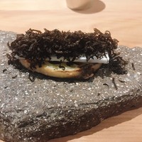 bb9 - 