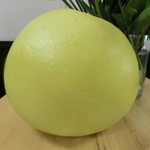 中華そば 紅蘭 - 