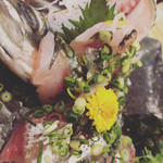 타이슈우캇포우 쿠라마