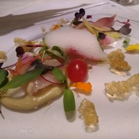 アマルフィイ・モデルナ - 