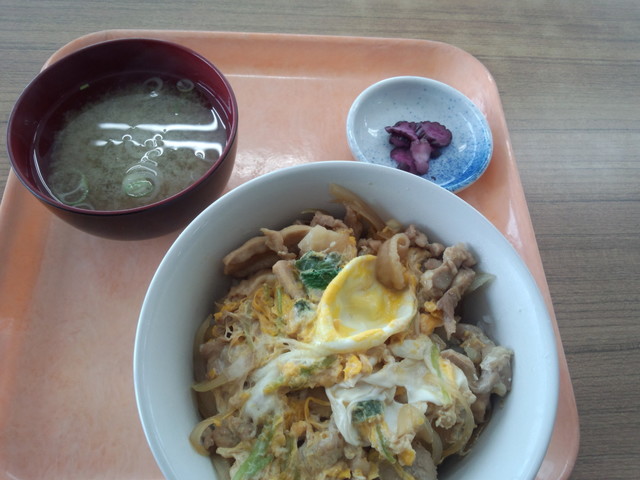 キッチンハーバー - 新富士（食堂）の写真