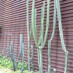 ウィズ ザ スタイル フクオカ - 