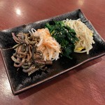 紅梅園 - H.31.1.18.夜 ナムル 450円税別