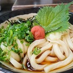 枡うどん - 