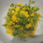 ドンブラボー - 春ハーブ？、ヤリイカ、からすみ