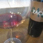 ドンブラボー - PĀCINA2011？