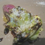 ドンブラボー - 鳥取産日本鹿