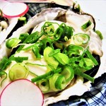 はてなのちゃわん - 