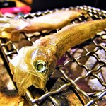 はてなのちゃわん - 