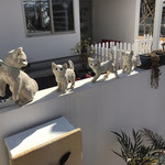 カフェキャットナップ - 