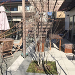 カフェキャットナップ - 